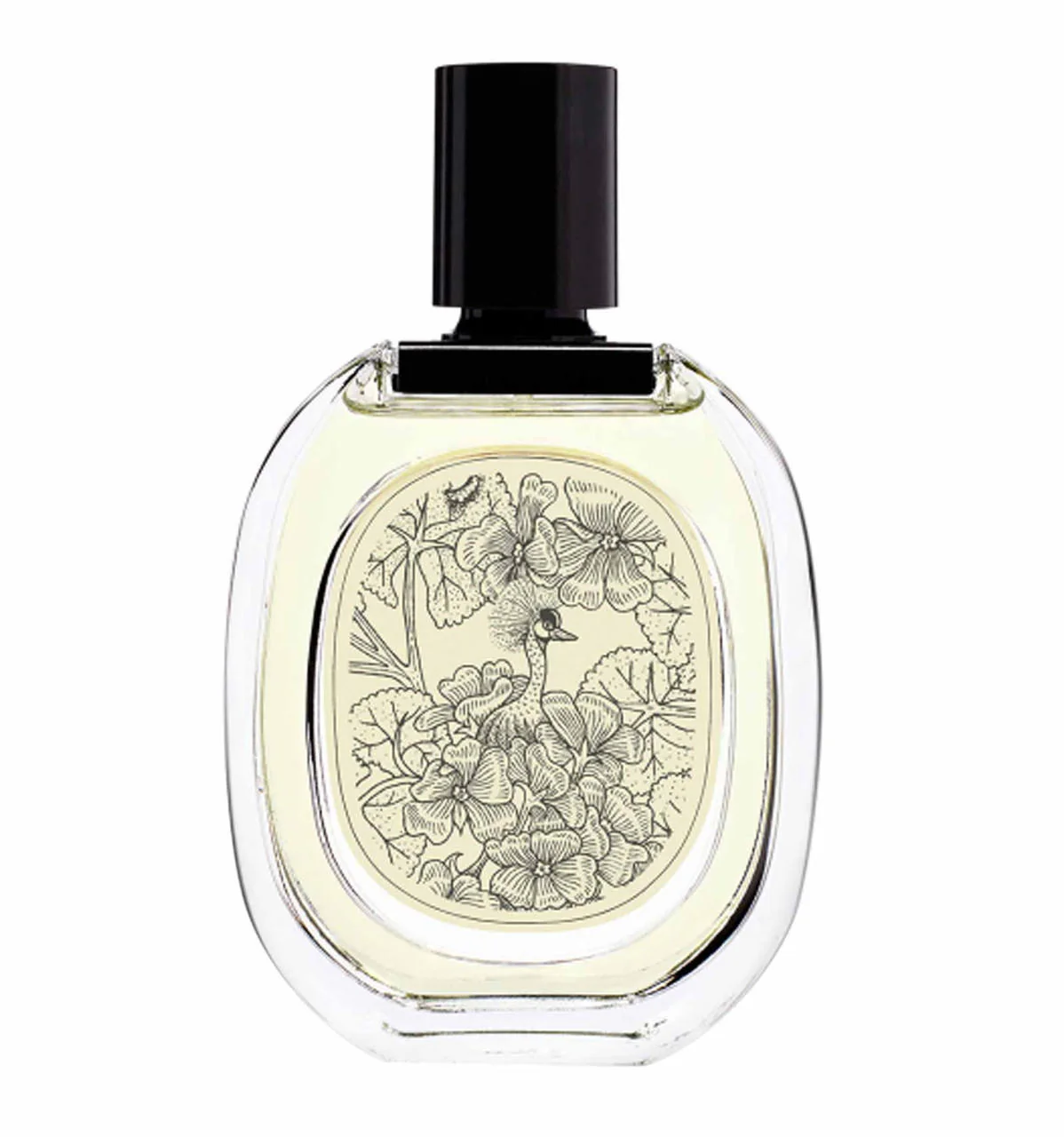 Geranium Odorata Eau de Toilette - Image 3