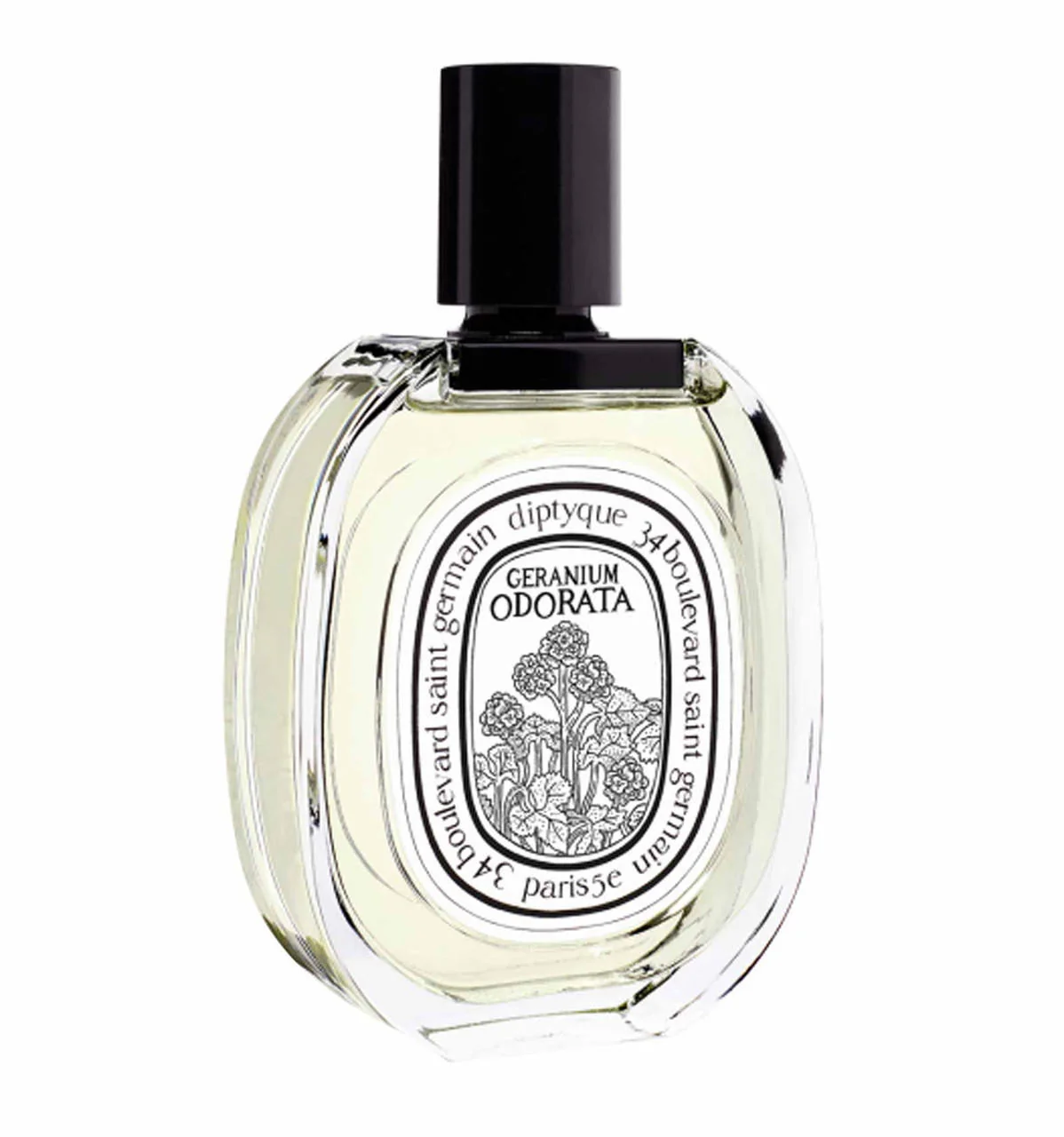 Geranium Odorata Eau de Toilette - Image 4